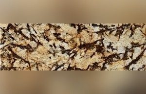 Sunflower Granite