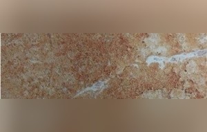 Sunrise Travertine
