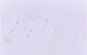 Superior Marble