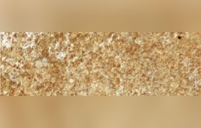 Syrian Sandstone
