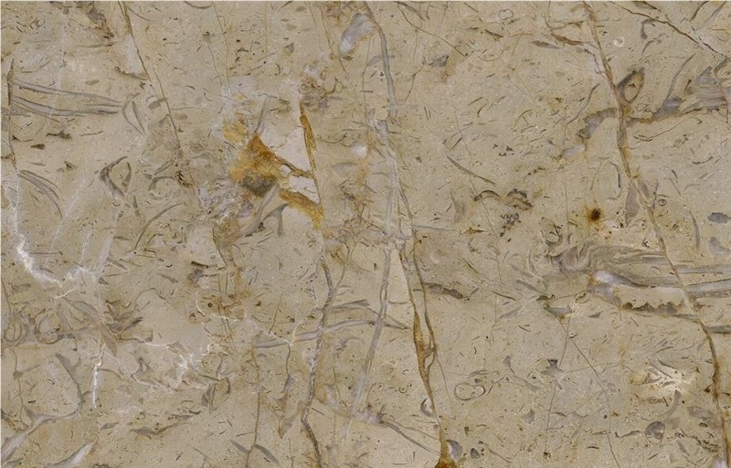 Tafel Limestone