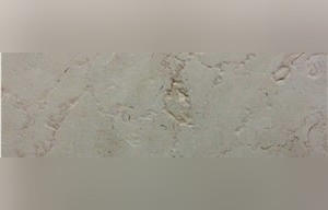 Taffouh Limestone