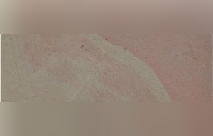 Taj Rose Sandstone