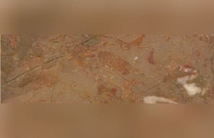 Tavira Rosa Limestone