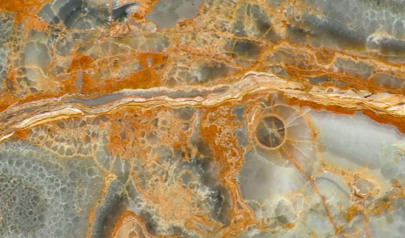 Tempesta