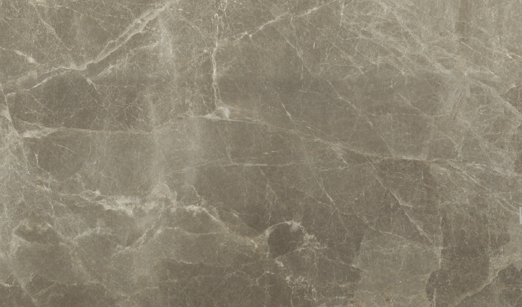 Tempus Grey