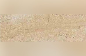 Tepexi Fiorito Limestone