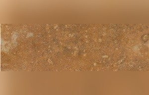 Terra Coral Limestone