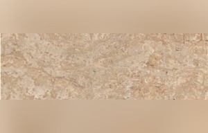 Terra Honey Limestone