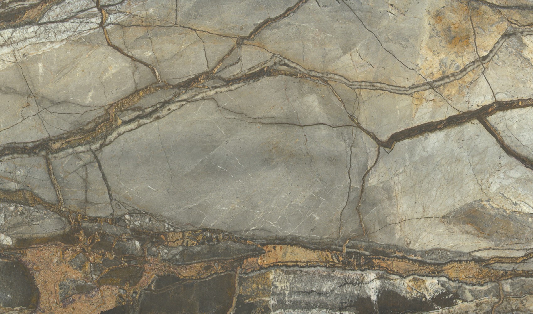 Terra Roots