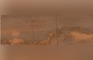 Terracota Limestone