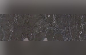 Tesla Brown Marble