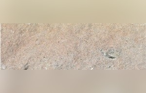 Texas Sunset Limestone