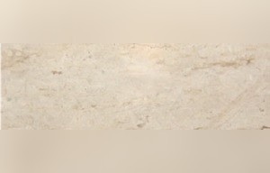 Thala Beige Veine Fleuri Limestone