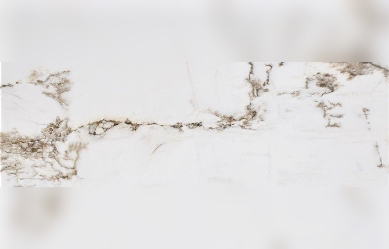 Thassos Spider Marble