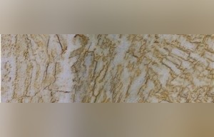 Tian Huangyu Marble