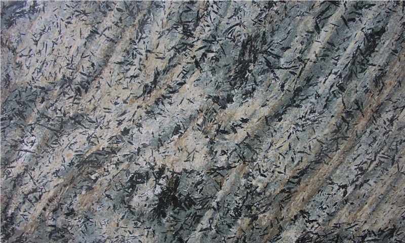 Tiger Crowsfoot Schist