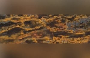 Tiger Eye Gold Quartzite
