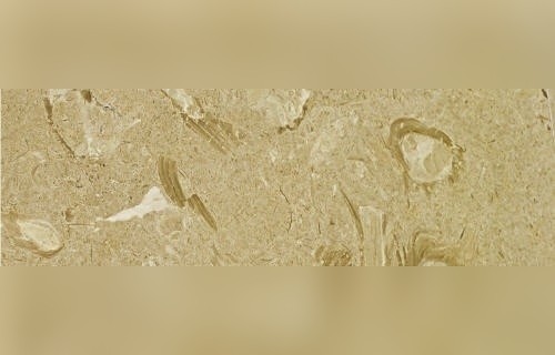 Tigris Marble
