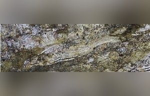 Timbalada Granite