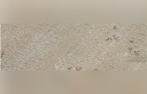 Tint Mint Sandstone