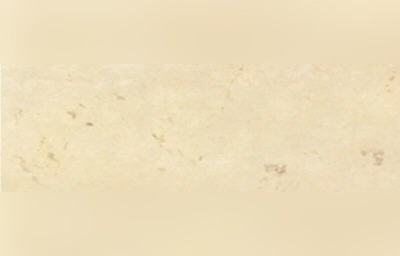 Trani Cocciolato Limestone