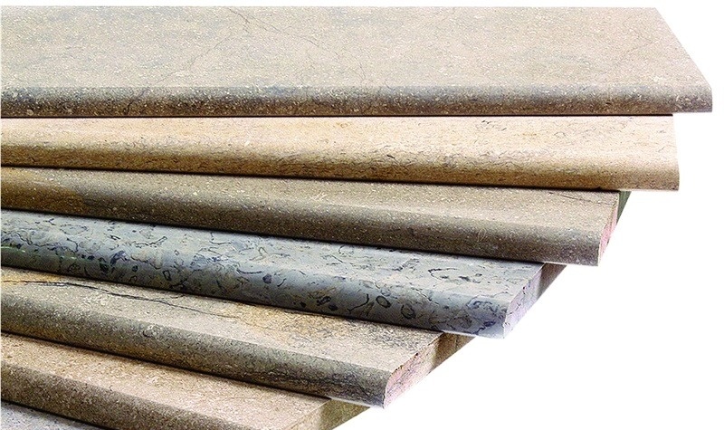 Transylvania Coral Limestone