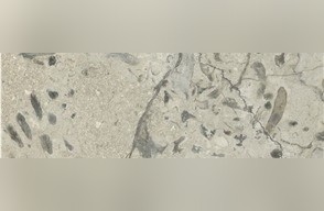 Transylvania Deep Coral Limestone
