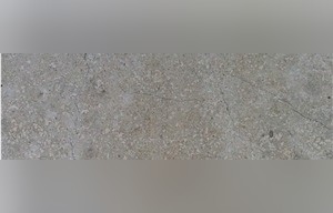 Transylvania Silver Limestone