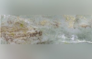 Tropical Blue Sky Marble