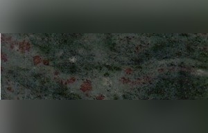 Tropical Green Granite