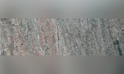 Tropical Guarani Granite