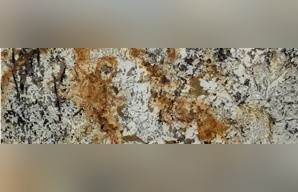 Tropical Treasure Granite