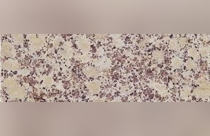 Tuoli Snowflake Granite