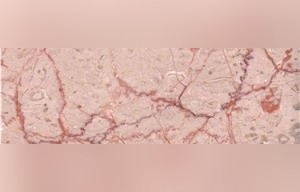 Turkish Rose Marble