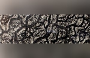 Turtle Venato Marble