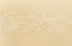 Tushevski Limestone