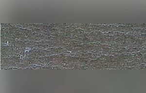 Valdeorras Rozadais Slate