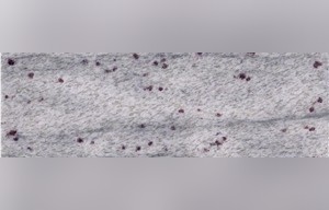 Valley White Granite
