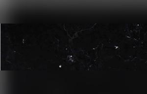 Vanta Black Marble