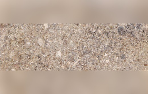 Vasalemma Limestone