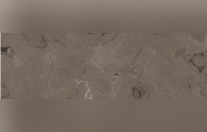Velvet Taupe Marble