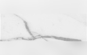 Venatino C Marble