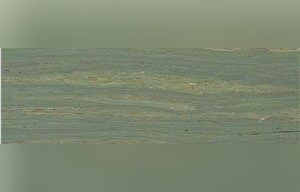 Venetian Green Marble