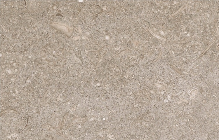Verde Caceres Limestone