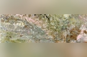 Verde Crema Granite