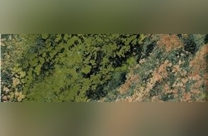Verde Fire Granite