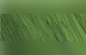 Verde Orientale Marble