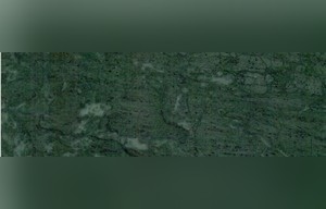 Verde Saltan Marble