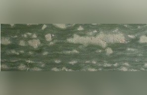 Verde Sierra Granite